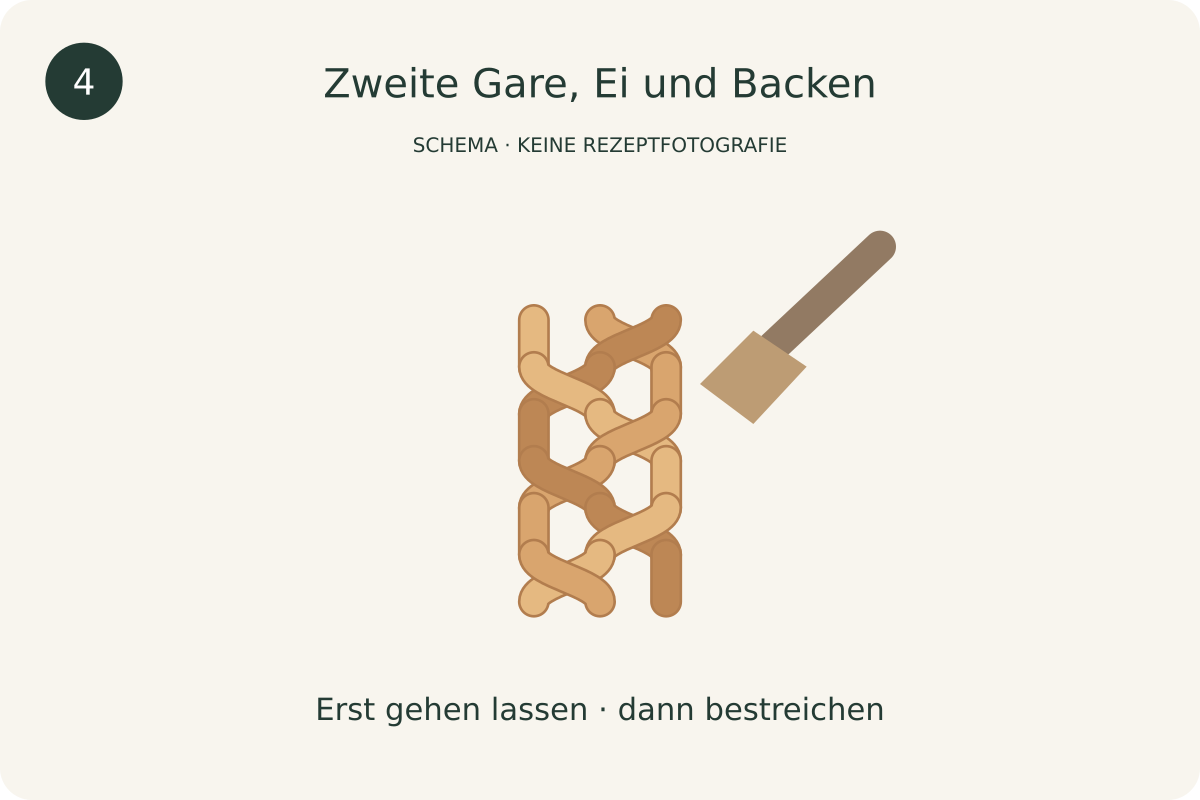 Schematische Darstellung: Zweite Gare, Ei und Backen